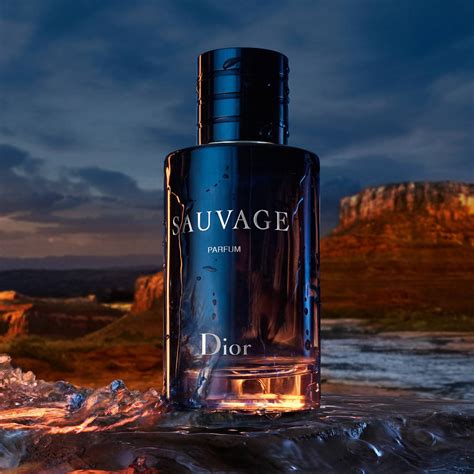 dior sauvage parfum 100 ml|sauvage dior perfume price.